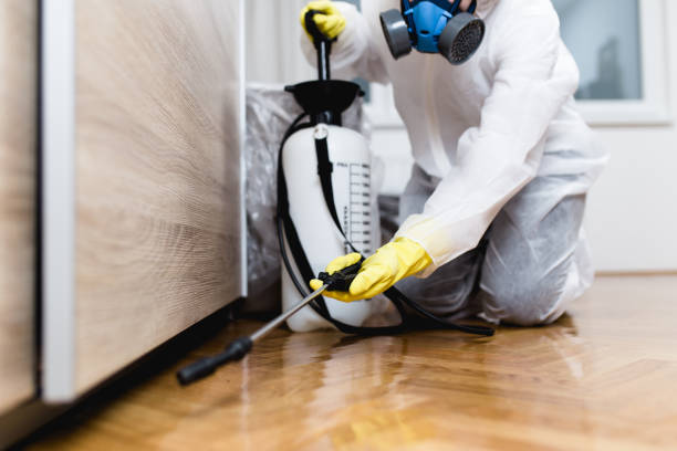 Best Termite Control Services  in Highland Park, MI