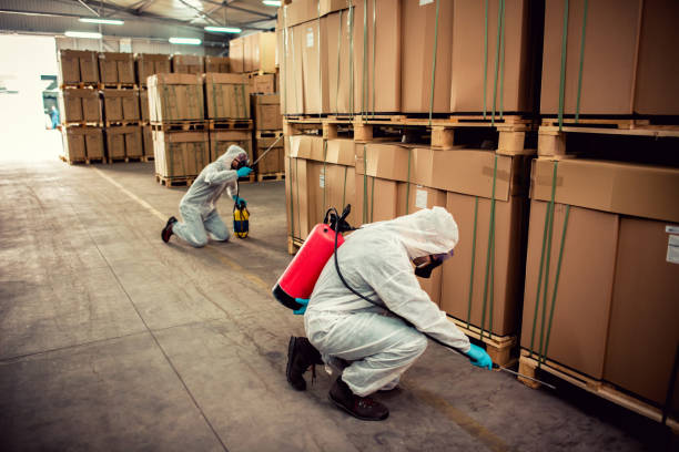 Best Ant Control Services  in Highland Park, MI