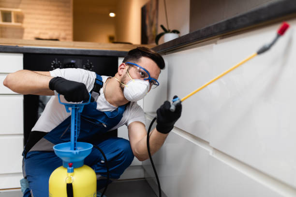 Best Wasp Removal Services  in Highland Park, MI