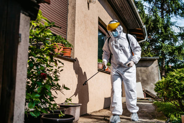 Best Affordable Pest Control Services  in Highland Park, MI