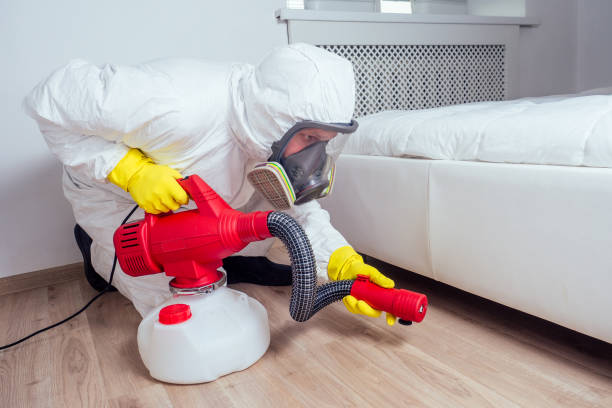 Best Cockroach Control Services  in Highland Park, MI