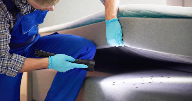 Best Ant Control Services  in Highland Park, MI