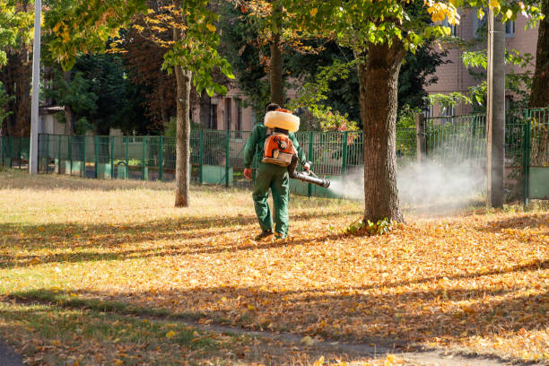 Best Wildlife Control Services  in Highland Park, MI