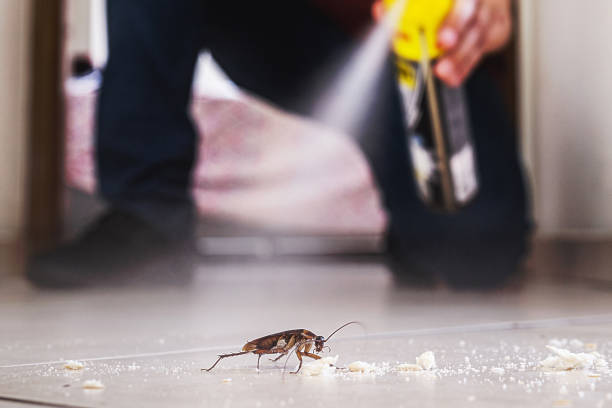 Best Mosquito Control Services  in Highland Park, MI