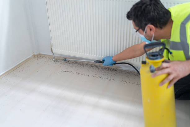 Best Affordable Pest Control Services  in Highland Park, MI