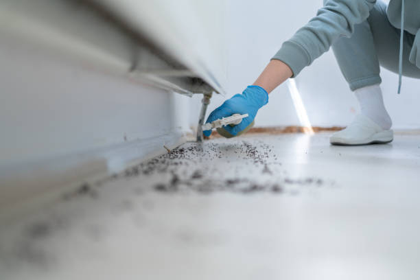 Trusted Highland Park, MI Pest Control Experts