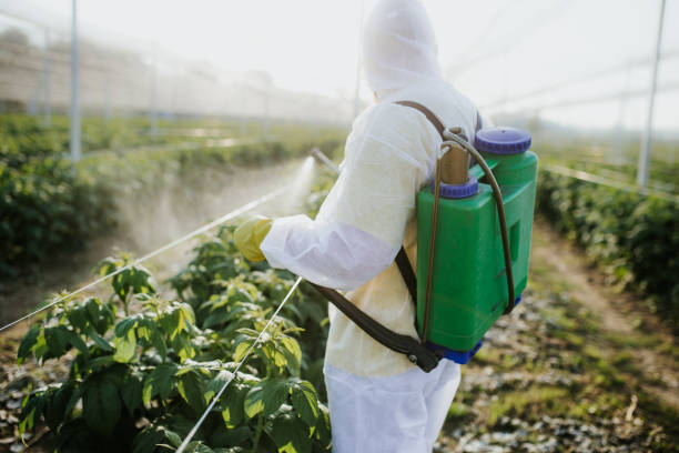Best Flea Control Services  in Highland Park, MI
